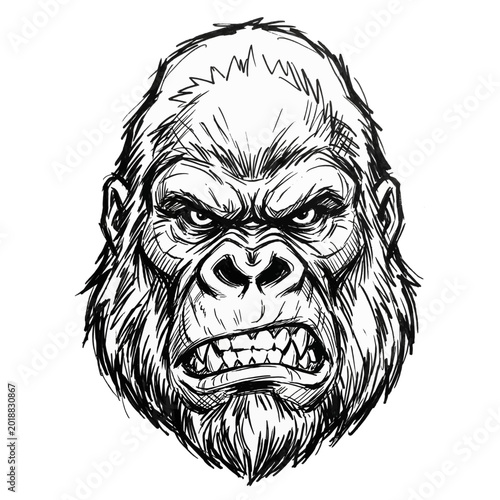 Obraz na płótnie Fierce Gorilla Face Drawing Aggressive Ape Portrait Sketch