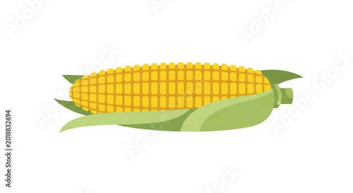 Fresh Sweet Corn Cob with Green Husk Isolated on White Background