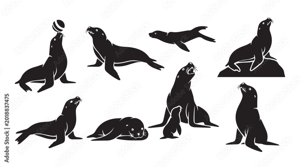 Fototapeta premium Seal silhouettes in various poses against a white background for versatile design applications