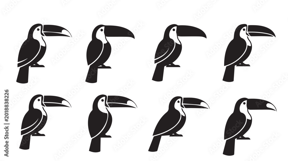 Fototapeta premium Toucan birds in silhouette against a white background during a studio shoot representing tropical fauna