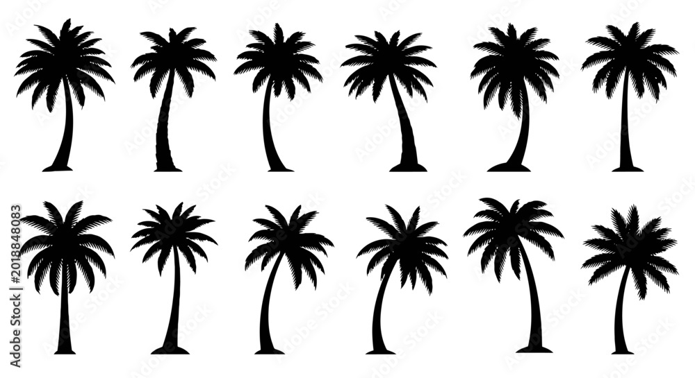 Fototapeta premium Collection of various palm tree silhouettes.