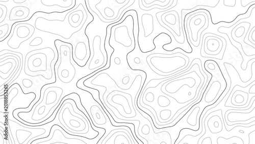 Bild auf Leinwand Topographic map contour lines pattern with irregular organic shapes in black lin