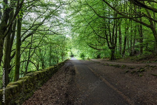 Tableau sur toile The High Peak Trail is a 17-mile (27 km) traffic-free route in the Derbyshire Peak District, UK, running between Dowlow (near Buxton) and High Peak Junction (near Cromford)