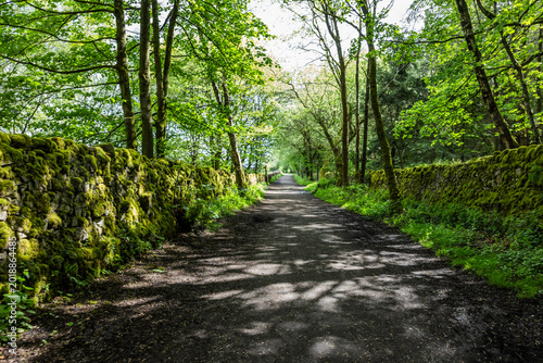 Tablou pe pânză The High Peak Trail is a 17-mile (27 km) traffic-free route in the Derbyshire Peak District, UK, running between Dowlow (near Buxton) and High Peak Junction (near Cromford)