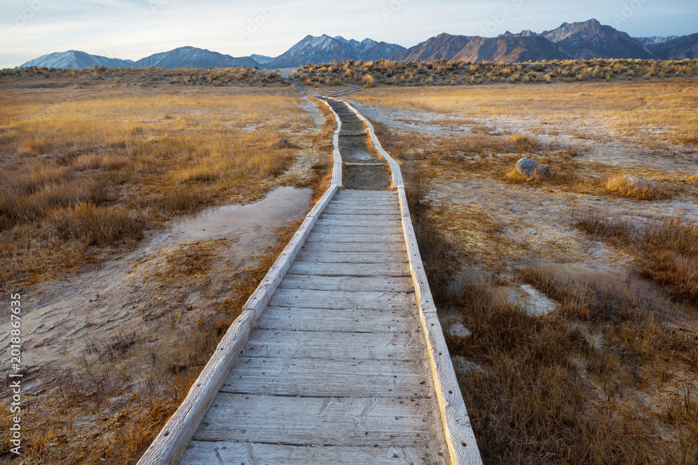 Obraz premium Boardwalk