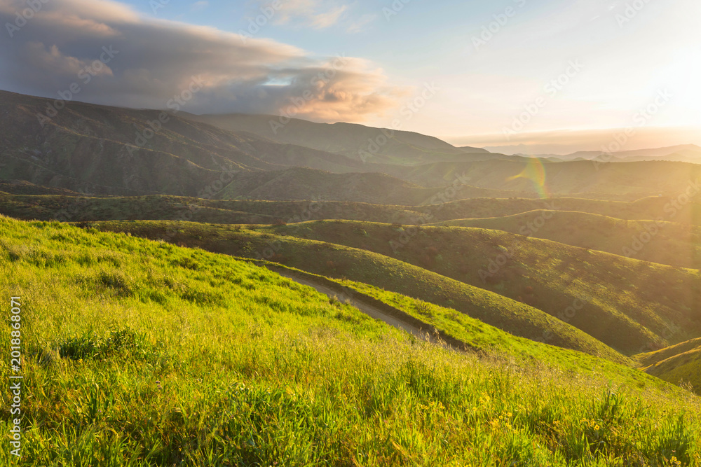 Obraz premium Green hills