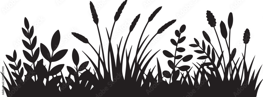 Fototapeta premium Wild grass silhouette border featuring meadow plants and floral stalks for nature landscape background or decorative garden scene.