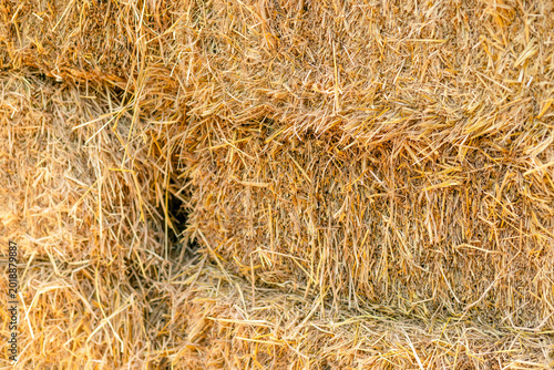 Hay bale natural, Straw background, Straw for organic advertising and background with sunlight, ideal for agriculture themes, Natural backdrop and mockup use