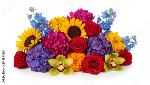 pictures of various beautiful colorful flowers on a white background
