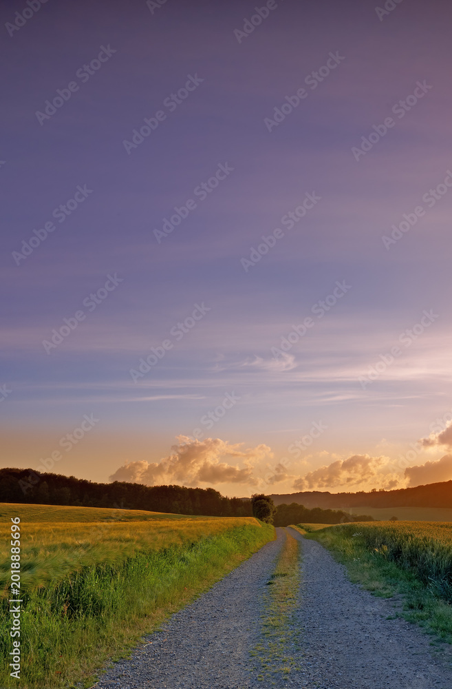 Fototapeta premium Sunset, field and landscape of road in nature for travel destination, roadtrip or natural environment. Sky mockup, evening or tarmac street in countryside for scenic route, getaway journey or horizon