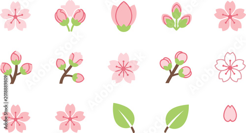 Obraz na plátně Japanese pink cherry blossom flower icon set with sakura buds and green leaves isolated on a white background