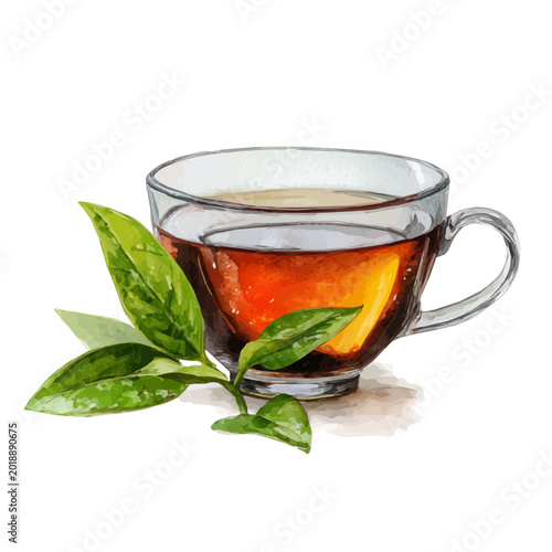 Canvas Print Black Tea watercolor vector illustration, high-quality artwork isolated on a pure white background