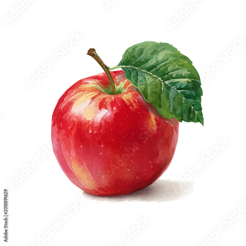 Photos Local Apple watercolor vector, hand-painted style, high-quality illustration isolated on white background