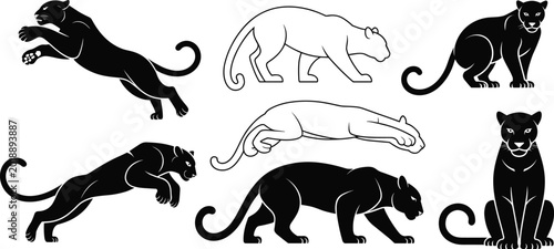 Schilderij op canvas Black panther silhouette collection set, powerful predatory wild cat poses including jumping, walking, and sitting, isolated vector icons on white