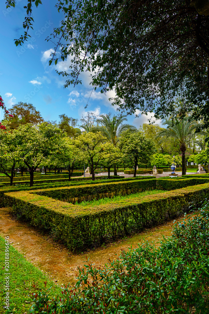 Naklejka premium Well maintained formal garden with geometric trimmed hedges and lush trees in a park in Seville Spain. Peaceful green space with cloudy sky and classic landscaping.