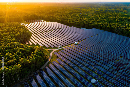 Solar Array Harmony: A sprawling solar array, nestled amidst a vibrant forest, captures the golden hues of the setting sun, symbolizing a future powered by clean, renewable energy.