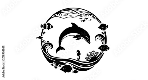 Photography Black and white ocean creatures, dolphin sea life, marine animals vector, circul