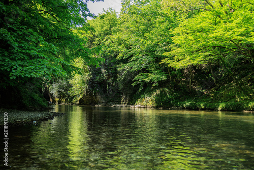 Fotografija Scenic view of a lush green canyon with clear river water and rocky cliffs covered in vegetation