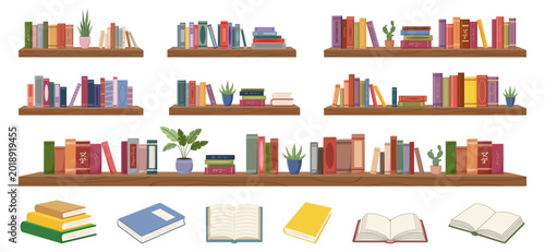 Wooden bookshelves with colorful books and potted green plants