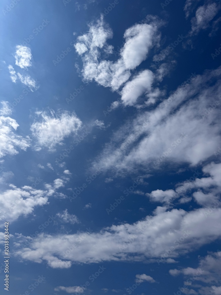 Fototapeta premium Blue sky with white clouds vertical.