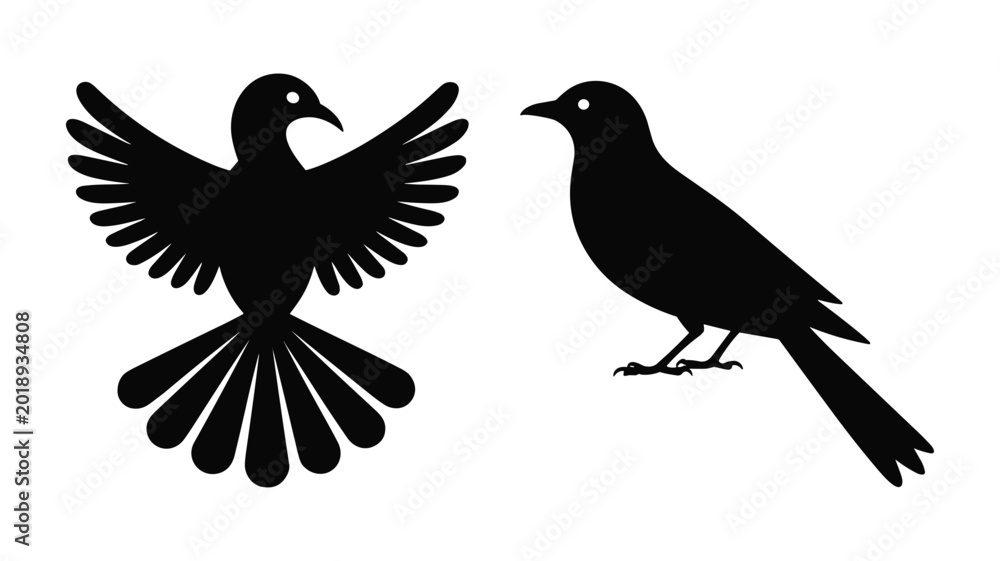 Fototapeta premium Black and white of two flying bats with spread wings silhouette