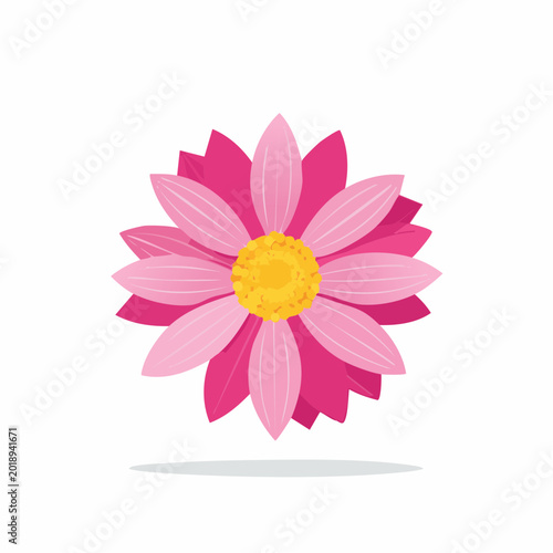 Pink Daisy Flower Illustration