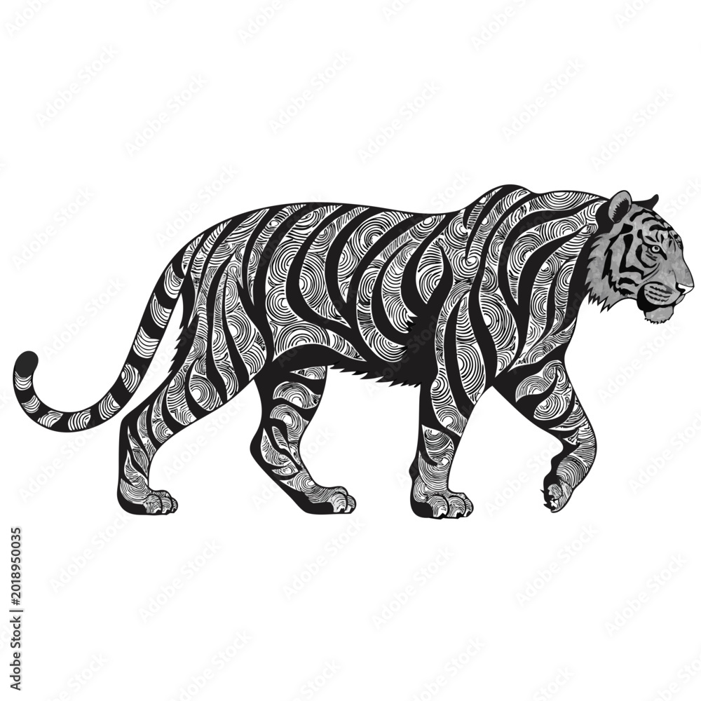 Fototapeta premium Powerful Tiger Vintage Engraving Vector Illustration with Detailed Stripe Texture in Black Ink Style