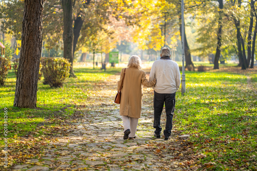 Fototapeta premium Elderly couple strolling through a park on a sunny autumn day