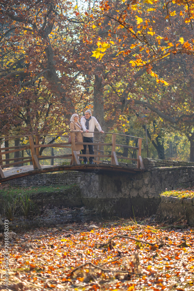 Obraz premium Senior couple enjoying a peaceful autumn day on a wooden bridge in the park