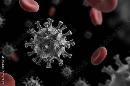 Hantavirus 2026. Andes virus close up
