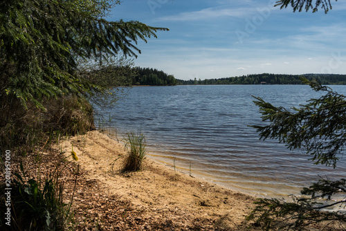 Sandy Beach on the Shore of Velké Dářko Pond in Vysočina