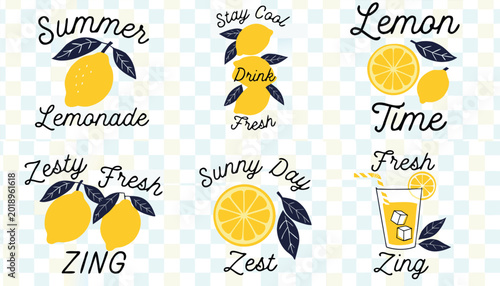 Canvas Print Collection of refreshing lemon and lemonade drink illustrations with various fun