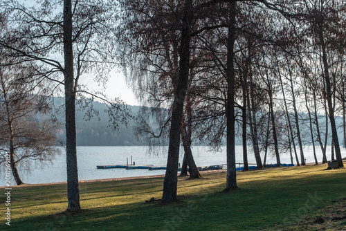 Sunlit lakeside park with trees and empty docks