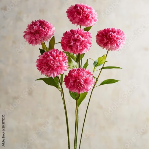 Bright Pink Flowers Arranged in a Cluster on a Neutral Background in a Well-L...