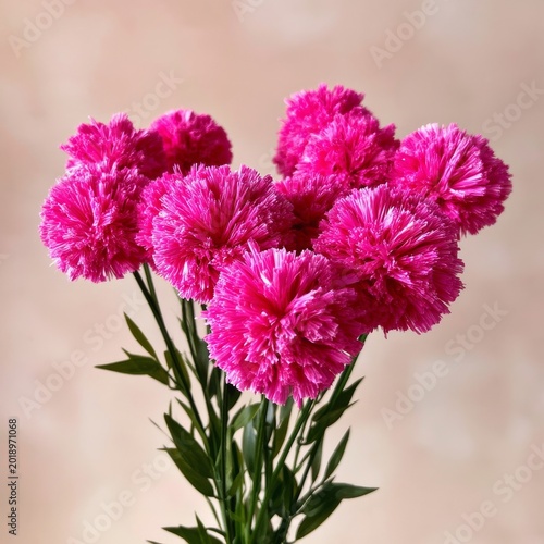 Colorful Pink Flowers Stand Tall in a Vase Against a Soft Background in a Bri...