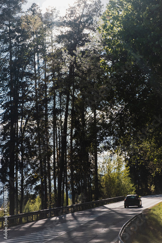 Car disappearing along quiet forest highway