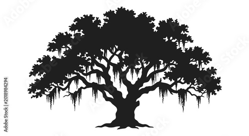 Schilderij op canvas Southern live oak tree silhouette