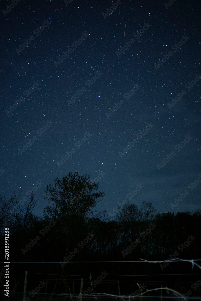 Fototapeta premium Starry night sky with trees and fence
