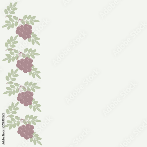 A pattern of red rowan branches with leaves and berries. The rowan tree is dusty. Place for your text.