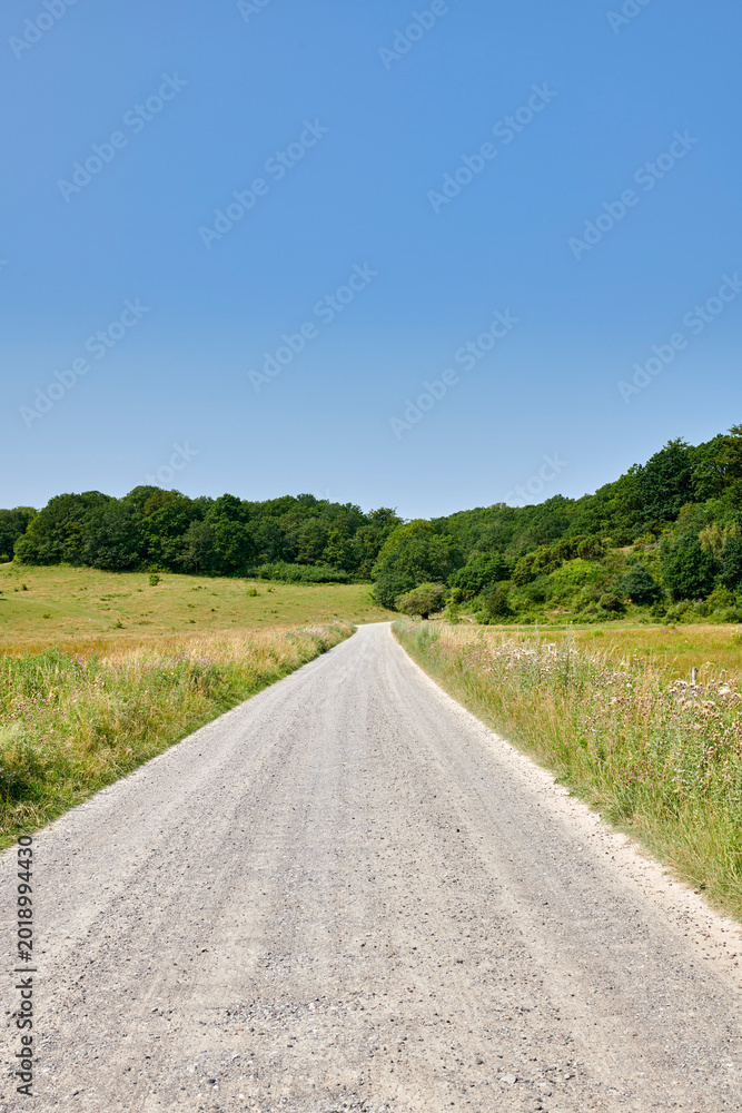 Obraz premium Blue sky, field and landscape of gravel road in nature for tourism, travel and natural environment. Mockup space, trees and forest path in countryside for scenic route, getaway journey and vegetation