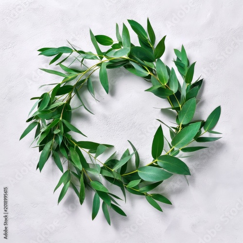 Circular Arrangement of Green Leaves on a Plain Background During Daylight