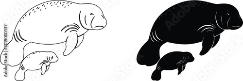 Foto Set of line art and silhouette illustrations of mother manatees swimming with their calves
