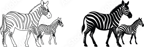 Zebra and foal safari animal silhouette set african wildlife line art striped horse design.