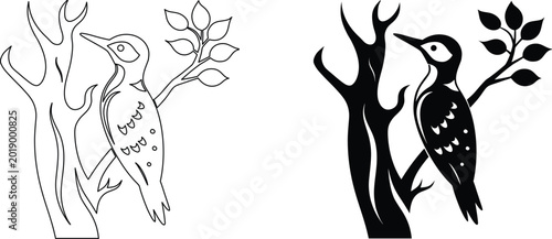 Photos Woodpecker on tree branch silhouette and outline set bird on trunk wildlife vector design