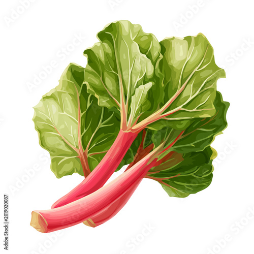 Rhubarb, illustrated as a clean 2D flat vector icon isolated on a white background