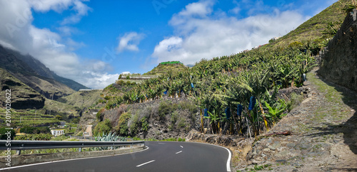Foto Road winding through banana plantations with steep mountainous terrain in a trop