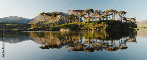 Fotografía Twelve Pines Island reflects in calm Derryclare Lough as evening light touches the trees and Connemara mountains in County Galway