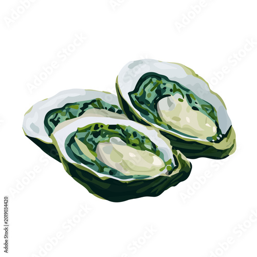 Foto A simple and modern flat 2D vector of a Oysters Rockefeller, isolated on a pure white background