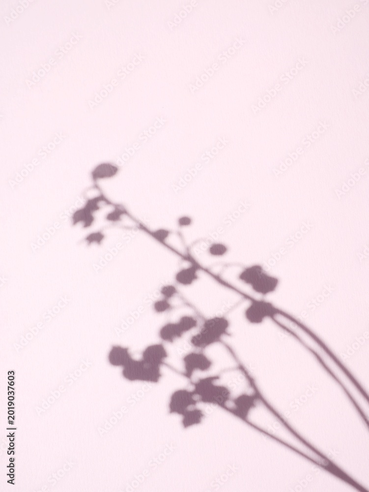 Fototapeta premium Delicate botanical shadow on soft pink background with natural sunlight and minimal aesthetic