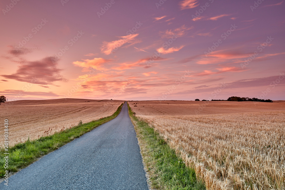 Fototapeta premium Sunset, corn field and landscape of road in nature for natural tourism, horizon or grain environment. Sky, evening or asphalt street in countryside for scenic route, agricultural land or outdoor path